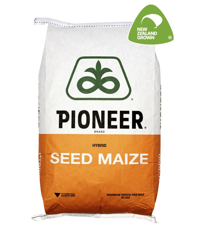 Pioneer Seed Catalog 2025 - Ellen Stormy