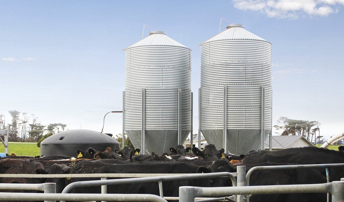 GT011 CI1 Maize Grain for dairy cows landing page comntent images 1140 x 670px_v13.jpg