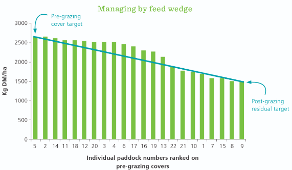 Managing my feed wedge wade article.png