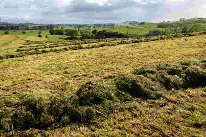 Conserving the most flexible feed