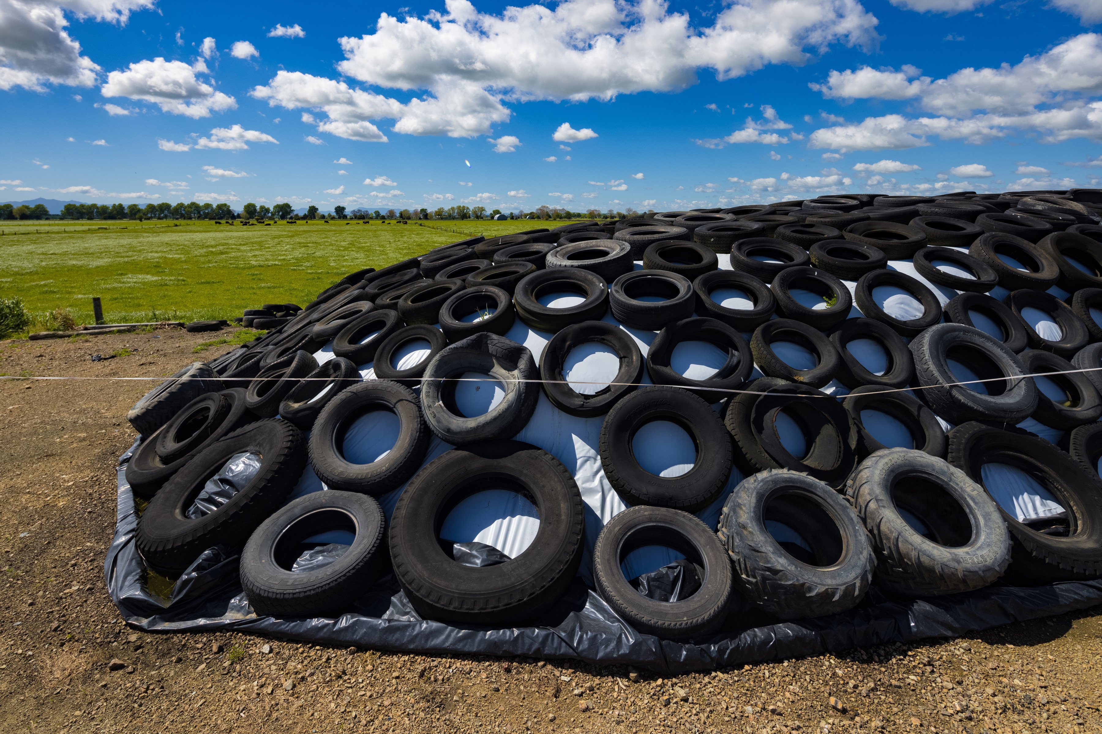 171_Silage_Stack_Stobie_Waikato_15Oct2021_3600px.jpg