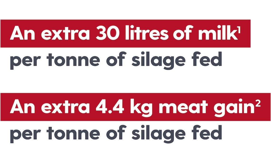 maximise pasture silage quality - an extra 30L.jpg