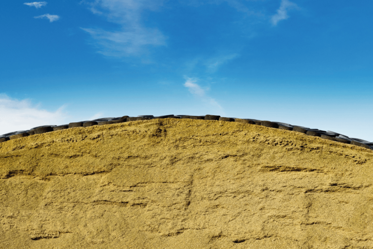 Using maize silage to reduce risk