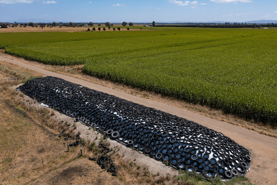 A maize silage buffer makes sense