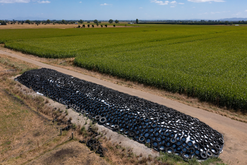 A maize silage buffer makes sense