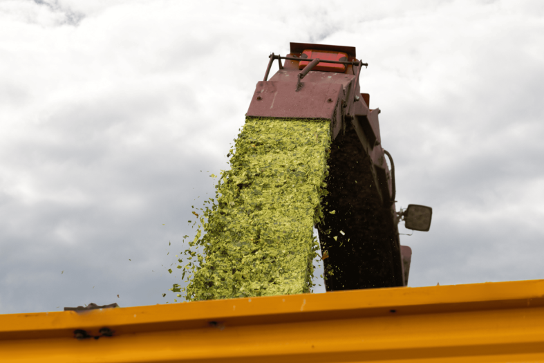 Make the most of your maize silage this harvest