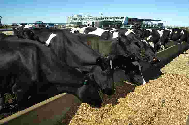 More money from your supplementary feed
