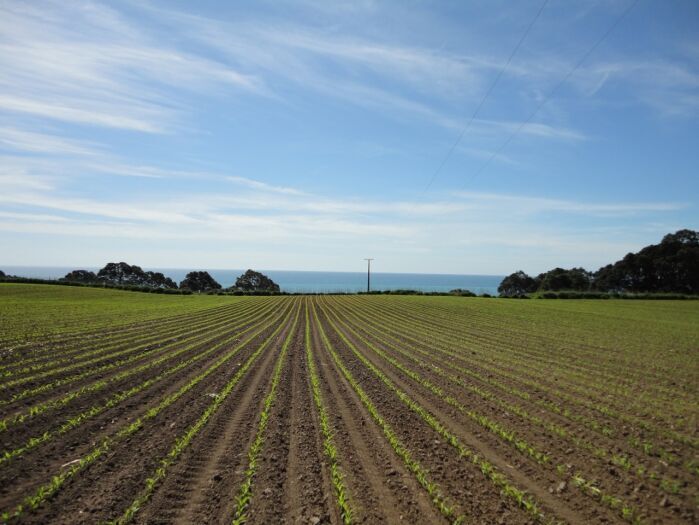 management-strategies-for-planting-maize-seed-into-cold-soil-pioneer